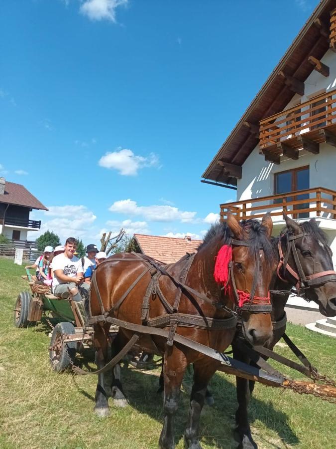 Casa Calea Haiducilor Sohodol  Екстер'єр фото